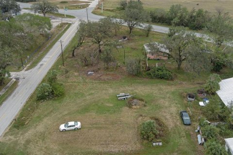 Land in Myakka City, Florida № 1721666 - photo 9