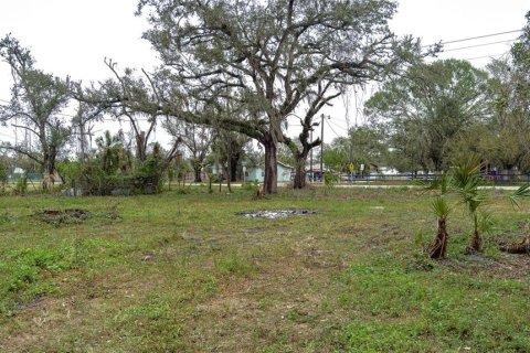 Land in Myakka City, Florida № 1721666 - photo 12