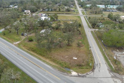 Land in Myakka City, Florida № 1721666 - photo 1