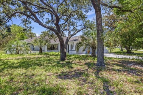 Villa ou maison à vendre à Spring Hill, Floride: 3 chambres, 180.97 m2 № 2390904 - photo 3