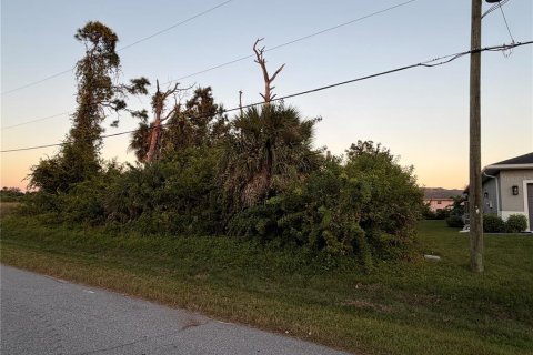Land in Rotonda, Florida № 2232885 - photo 2