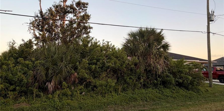Land in Rotonda, Florida № 2232885