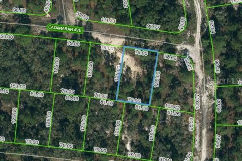 Land in Lake Placid, Florida № 2162407
