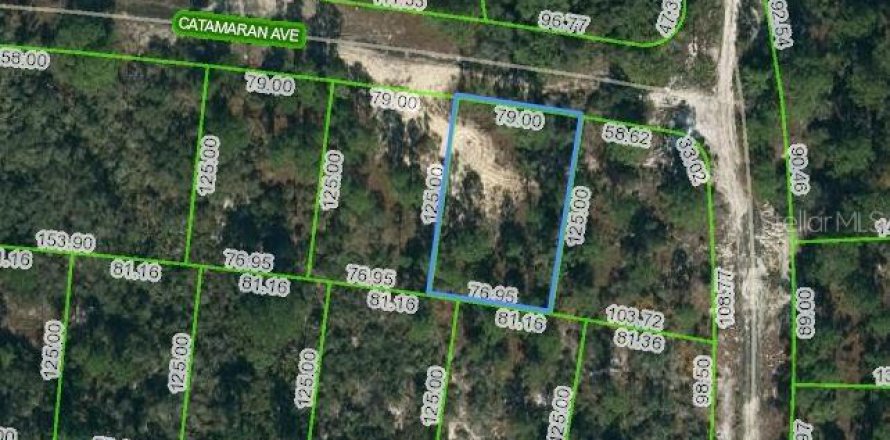 Land in Lake Placid, Florida № 2162407