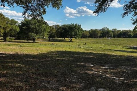 Terreno en venta en Silver Springs Shores, Florida № 1602477 - foto 3