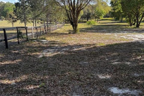 Terreno en venta en Silver Springs Shores, Florida № 1602477 - foto 1