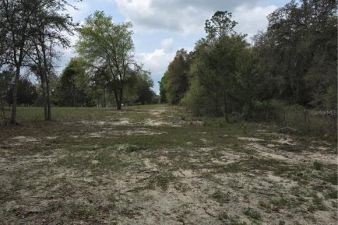 Terreno en venta en Silver Springs Shores, Florida № 1602477 - foto 4
