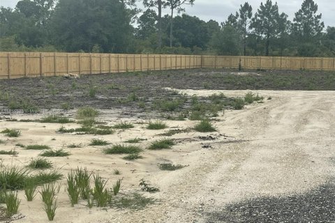 Land in Clewiston, Florida № 1768541 - photo 5