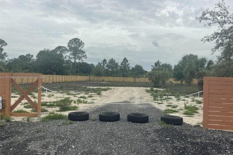 Land in Clewiston, Florida № 1768541 - photo 3
