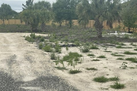 Land in Clewiston, Florida № 1768541 - photo 6