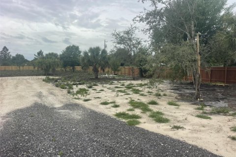 Land in Clewiston, Florida № 1768541 - photo 4