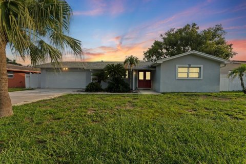 House in Seminole, Florida 4 bedrooms, 224.64 sq.m. № 1904009 - photo 1