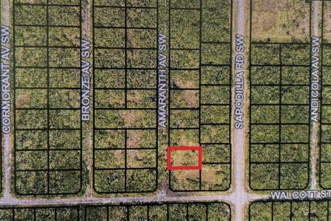 Land in Palm Bay, Florida № 2164175