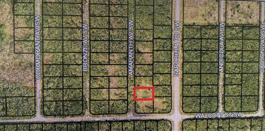 Land in Palm Bay, Florida № 2164175