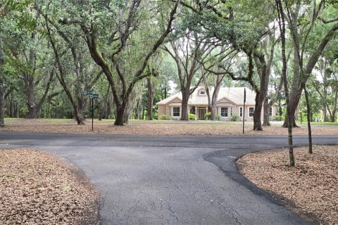 Land in Umatilla, Florida № 2386661 - photo 5