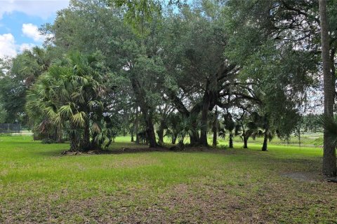 Land in Umatilla, Florida № 2386661 - photo 12