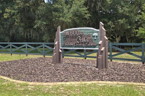 Land in Umatilla, Florida № 2386661 - photo 2