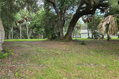 Land in Umatilla, Florida № 2386661 - photo 13