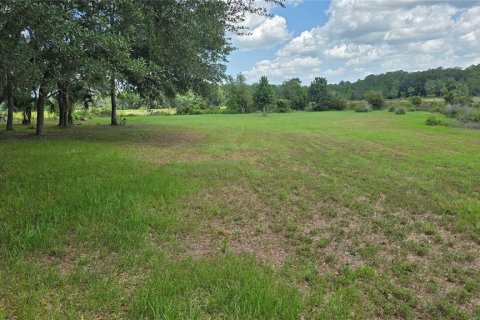 Land in Umatilla, Florida № 2386661 - photo 11