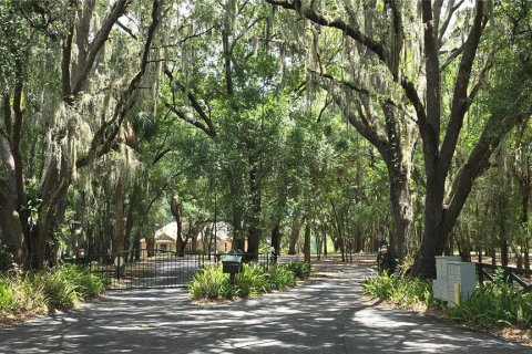 Land in Umatilla, Florida № 2386661 - photo 6