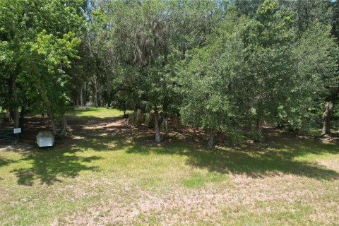 Land in Umatilla, Florida № 2386661 - photo 21