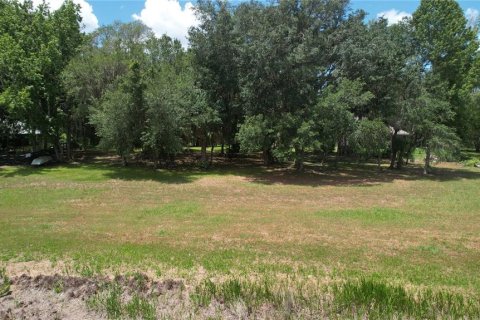 Land in Umatilla, Florida № 2386661 - photo 20