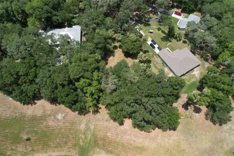 Land in Umatilla, Florida № 2386661 - photo 18