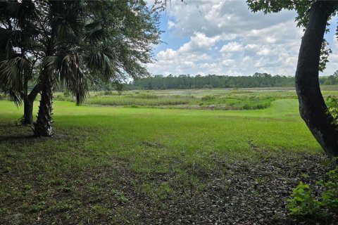 Land in Umatilla, Florida № 2386661 - photo 10