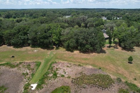 Land in Umatilla, Florida № 2386661 - photo 16