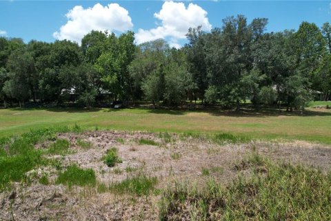 Land in Umatilla, Florida № 2386661 - photo 19