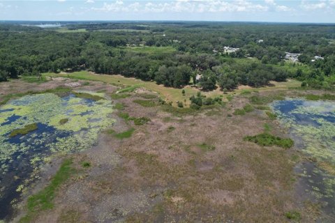 Land in Umatilla, Florida № 2386661 - photo 15