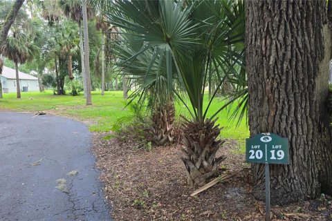 Land in Umatilla, Florida № 2386661 - photo 8