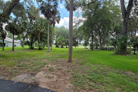 Land in Umatilla, Florida № 2386661