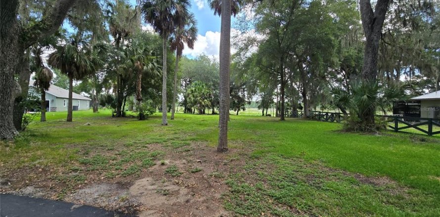 Land in Umatilla, Florida № 2386661