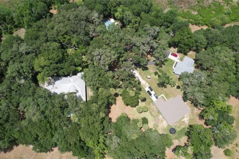 Land in Umatilla, Florida № 2386661 - photo 17