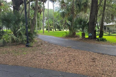 Land in Umatilla, Florida № 2386661 - photo 22