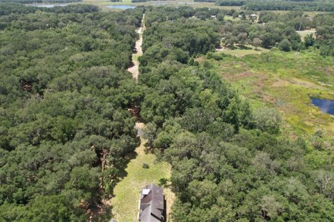 Land in Umatilla, Florida № 2386661 - photo 14