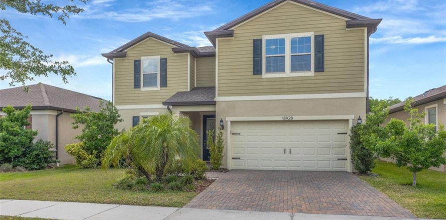 House in Lutz, Florida 5 bedrooms, 265.61 sq.m. № 2216782