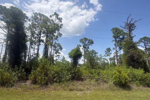 Land in Port Charlotte, Florida № 2227709
