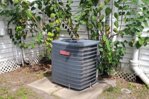 Casa en venta en Dunedin, Florida, 3 dormitorios, 121.89 m2 № 1853551 - foto 21