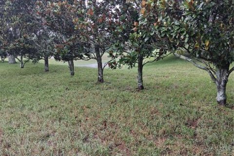 Casa en venta en Spring Hill, Florida, 3 dormitorios, 157.56 m2 № 2386604 - foto 21