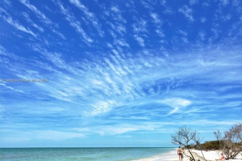 Condominio en venta en Palm Harbor, Florida, 2 dormitorios, 83.43 m2 № 1820151 - foto 15