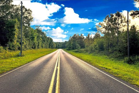 Terrain à vendre à De Funiak Springs, Floride № 558465 - photo 1