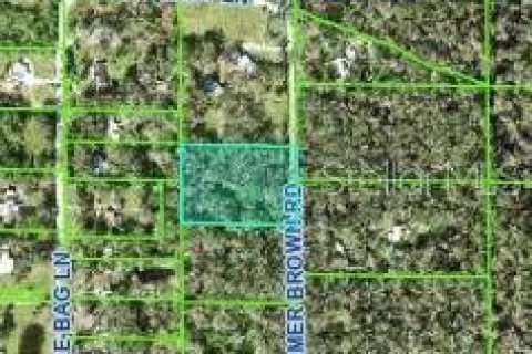 Land in Lakeland, Florida № 1876864 - photo 1