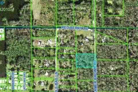 Land in Lakeland, Florida № 1876864 - photo 2