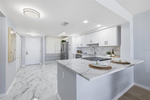 Condo in Saint Pete Beach, Florida, 2 bedrooms № 2102132 - photo 12