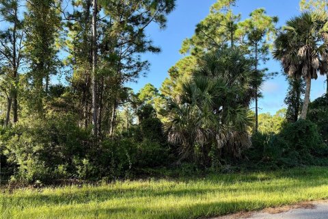 Land in Punta Gorda, Florida № 2164421 - photo 3