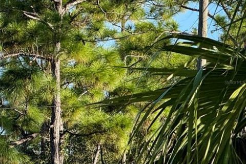 Land in Punta Gorda, Florida № 2164421 - photo 4