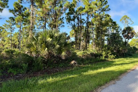 Terrain à Punta Gorda, Floride № 2164421