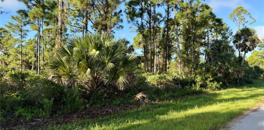 Land in Punta Gorda, Florida № 2164421